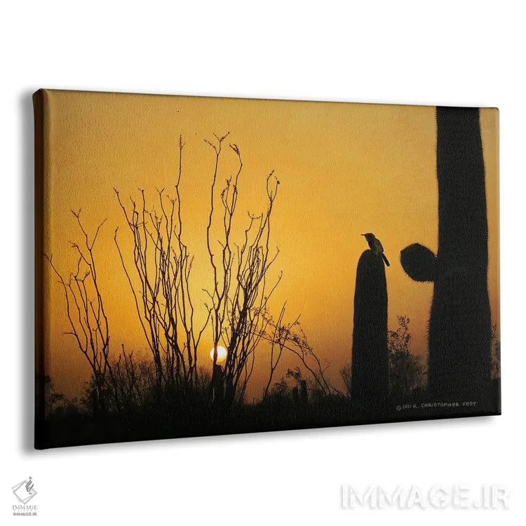 تابلو مرغ خارخار غروب با کاکتوس (پرنده) اثر کریستوفر وست - نمای پرسپکتیو محصول