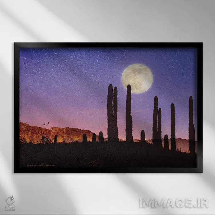 تابلو کاکتوس ساگوارو و ماه بلدرچین اثر کریستوفر وست - نمای قابدار مشکی