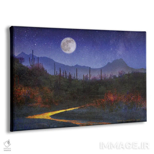 تابلو غروب بر فراز ساگواروها اثر کریستوفر وست - نمای پرسپکتیو محصول