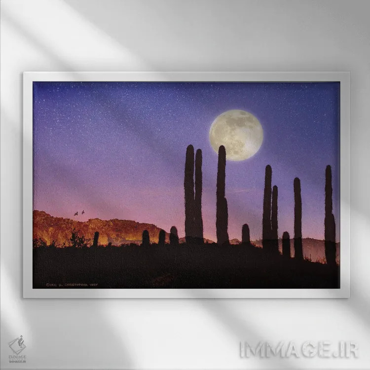تابلو کاکتوس ساگوارو و ماه بلدرچین اثر کریستوفر وست - نمای قابدار سفید