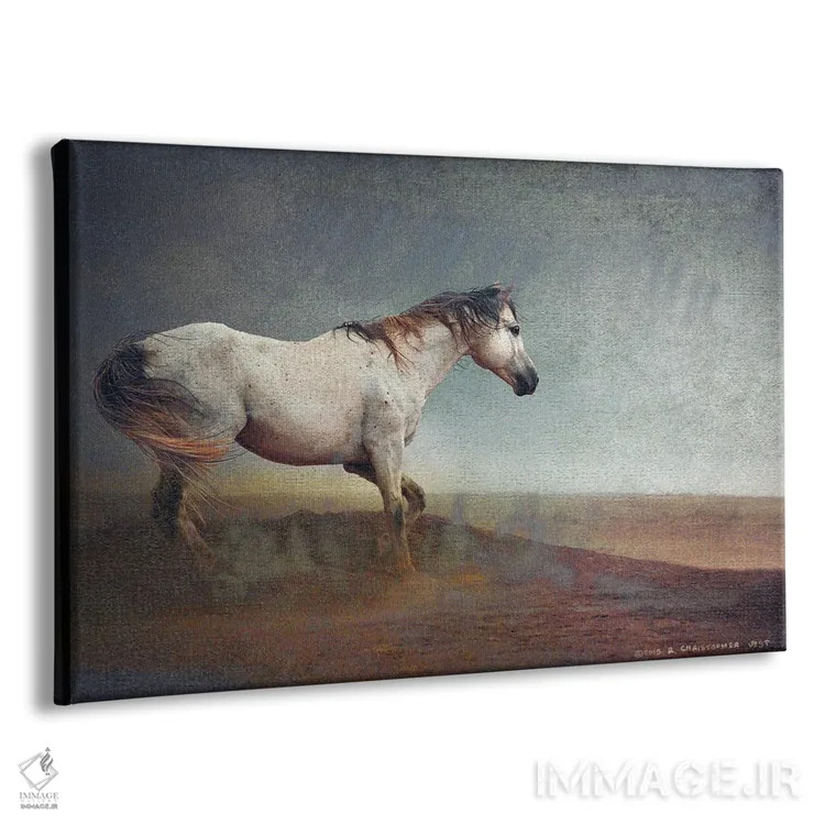 تابلو اسب سفید در طوفان خاک اثر کریستوفر وست - نمای پرسپکتیو محصول