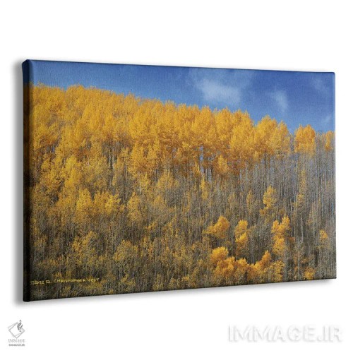 تابلو ردیفی از درختان سپیدار بر پسزمینهٔ آبی اثر کریستوفر وست - نمای پرسپکتیو محصول