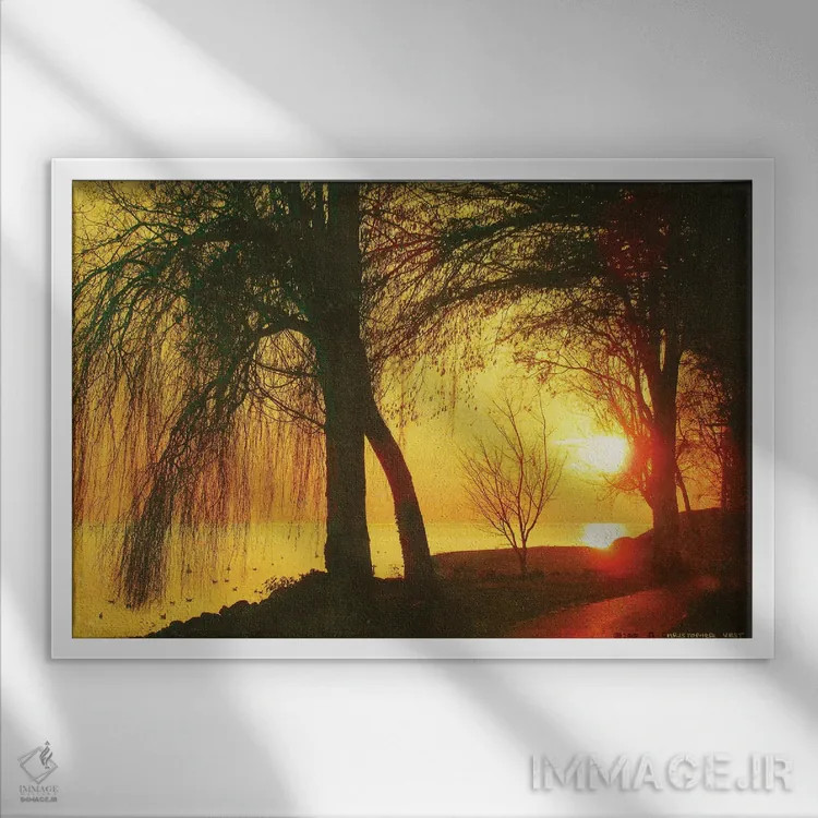 تابلو Lac Leman,بید مجنون، دریاچهٔ لمان (سوئیس) اثر کریستوفر وست - نمای قابدار سفید