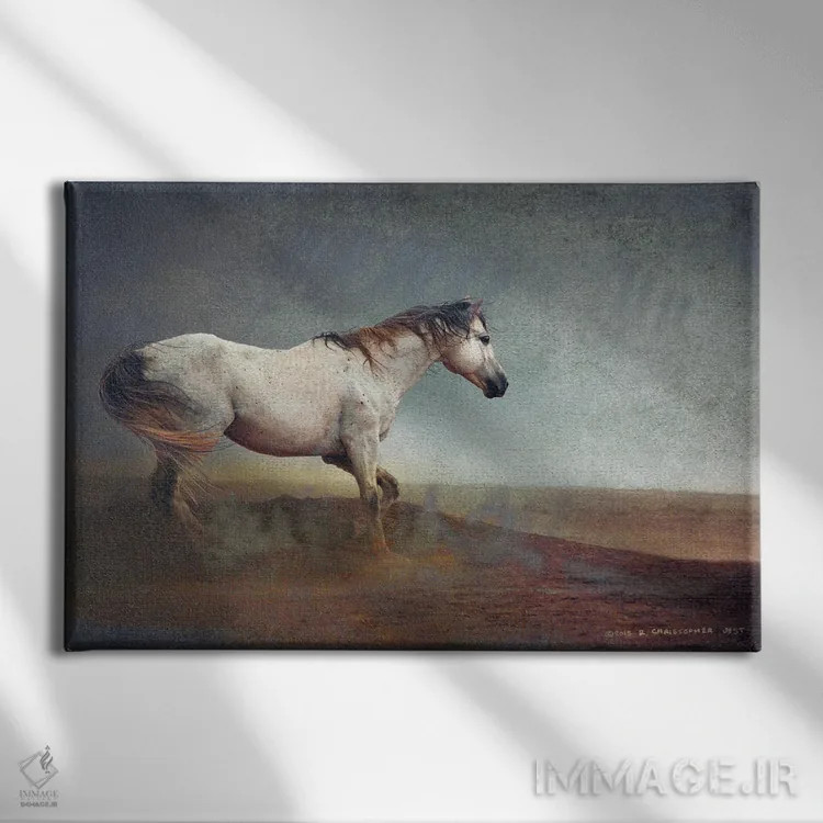 تابلو اسب سفید در طوفان خاک اثر کریستوفر وست - نمای روبهرو روی دیوار