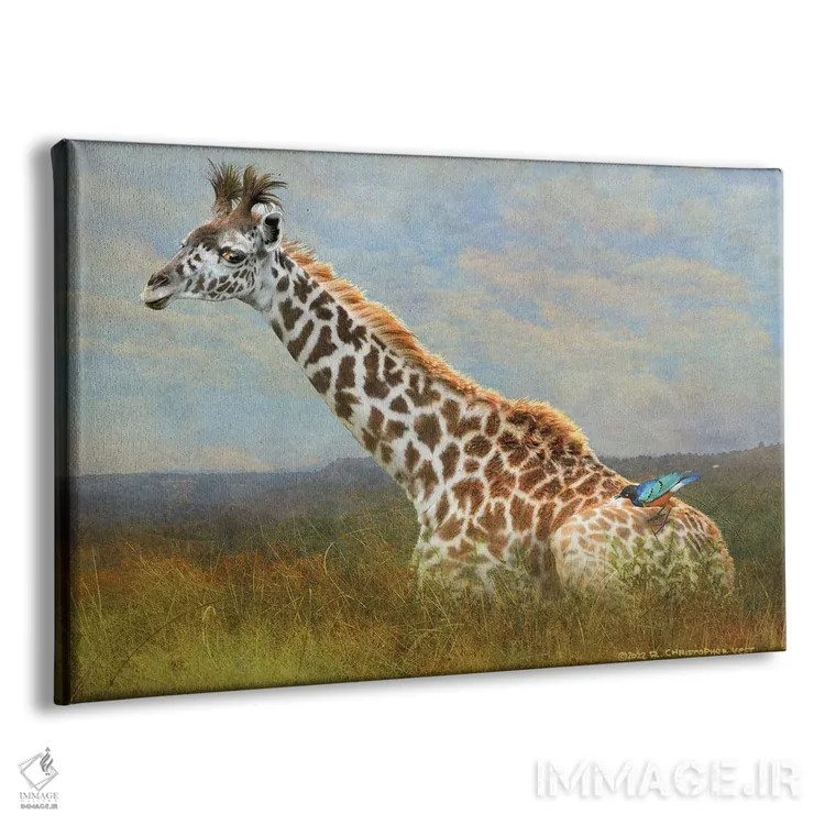 تابلو زرافه و سار اروپایی اثر کریستوفر وست - نمای پرسپکتیو محصول