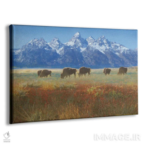 تابلو علف دشت گرند تتون اثر کریستوفر وست - نمای پرسپکتیو محصول