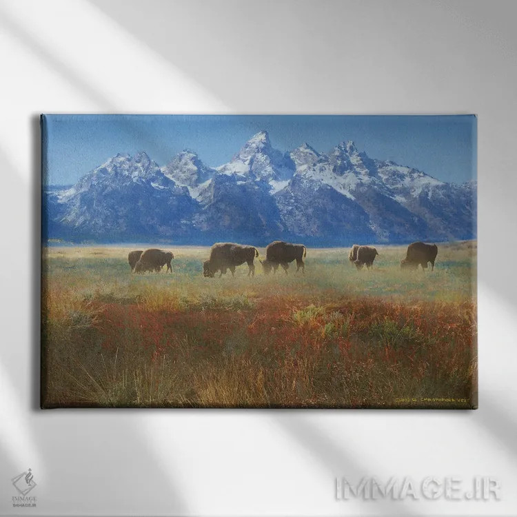 تابلو علف دشت گرند تتون اثر کریستوفر وست - نمای روبهرو روی دیوار