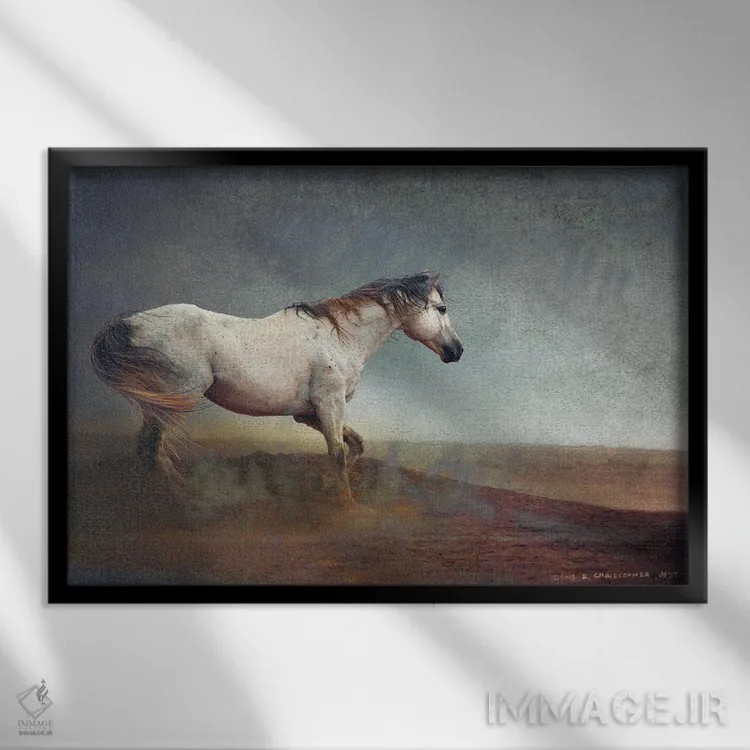 تابلو اسب سفید در طوفان خاک اثر کریستوفر وست - نمای قابدار مشکی