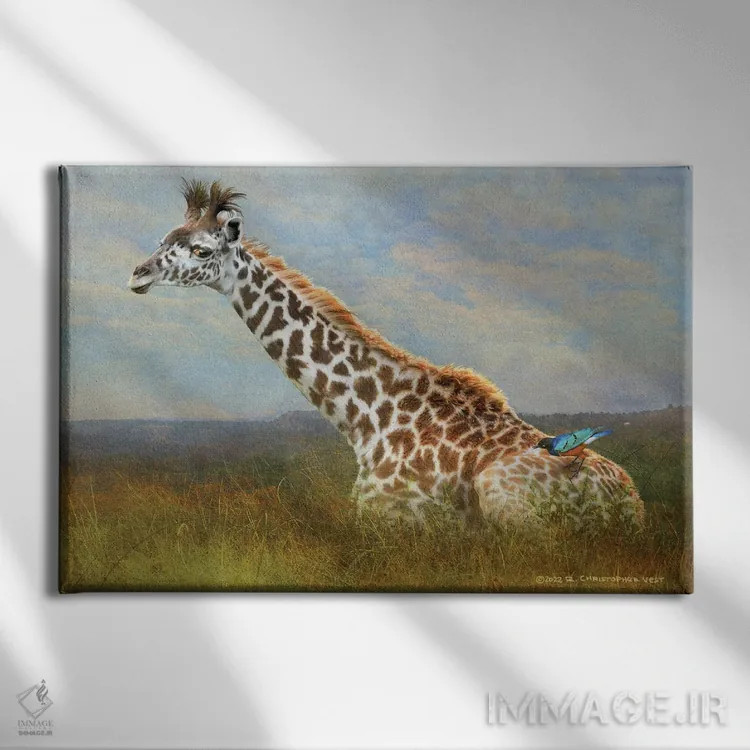تابلو زرافه و سار اروپایی اثر کریستوفر وست - نمای روبهرو روی دیوار