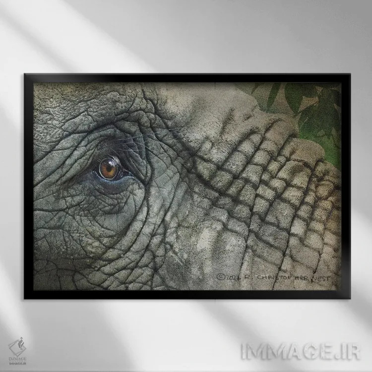 تابلو چشم فیل اثر کریستوفر وست - نمای قابدار مشکی