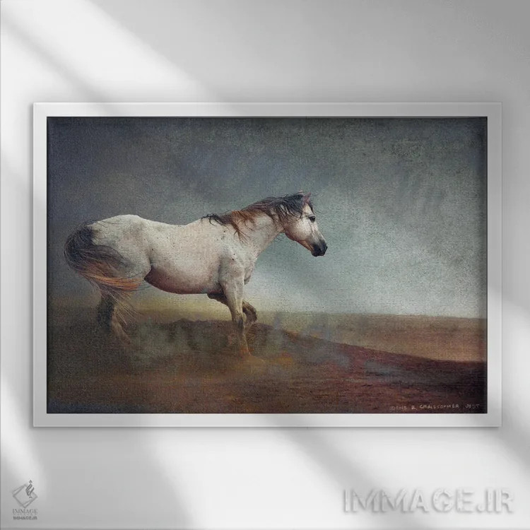 تابلو اسب سفید در طوفان خاک اثر کریستوفر وست - نمای قابدار سفید