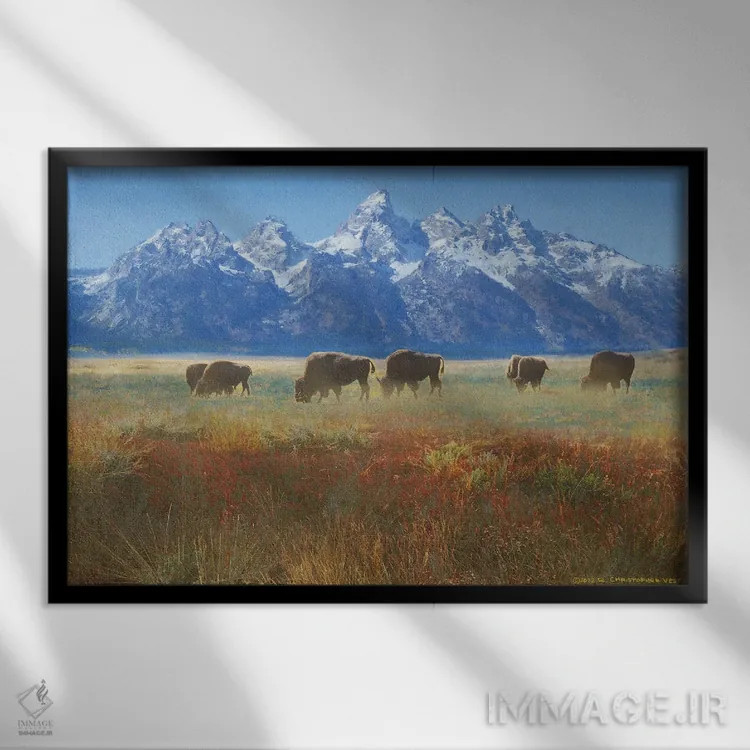 تابلو علف دشت گرند تتون اثر کریستوفر وست - نمای قابدار مشکی