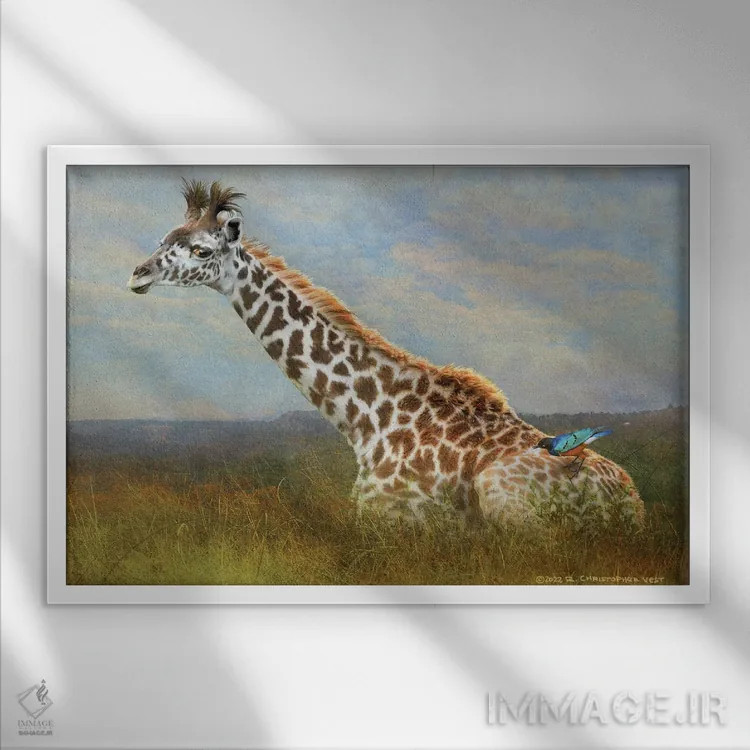 تابلو زرافه و سار اروپایی اثر کریستوفر وست - نمای قابدار سفید