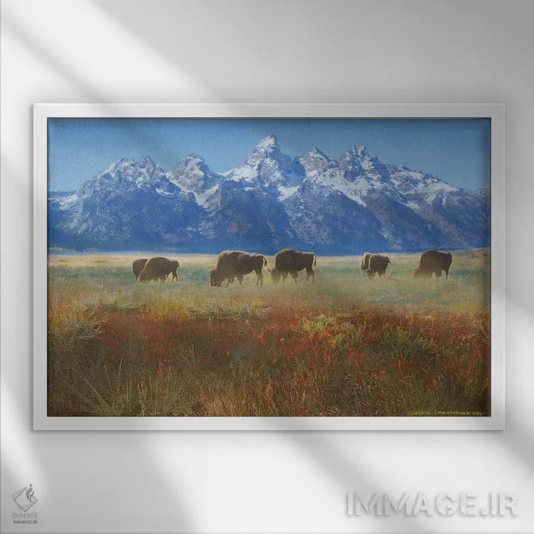 تابلو علف دشت گرند تتون اثر کریستوفر وست - نمای قابدار سفید