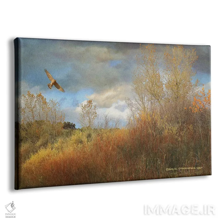 تابلو درهٔ بید و سپیدار اثر کریستوفر وست - نمای پرسپکتیو محصول