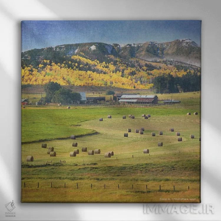 تابلو پشتههای علف خشک نهر گیلاس اثر کریستوفر وست - نمای روبهرو روی دیوار