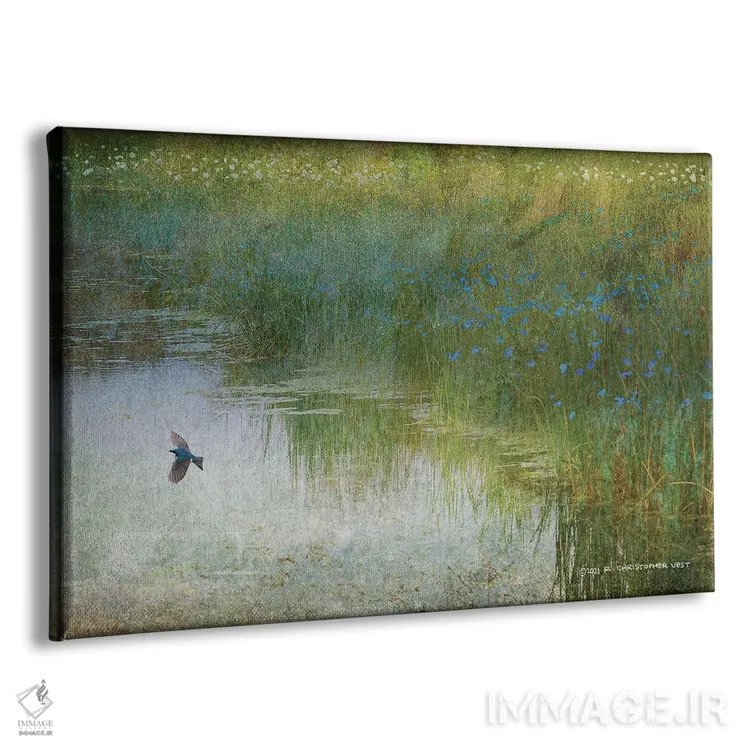 تابلو پرستو تالاب اثر کریستوفر وست - نمای پرسپکتیو محصول