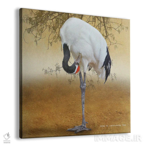 تابلو درنای تاجسرخ (پرنده) اثر کریستوفر وست - نمای پرسپکتیو محصول