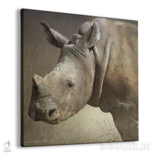 تابلو کرگدن سفید جوان اثر کریستوفر وست - نمای پرسپکتیو محصول