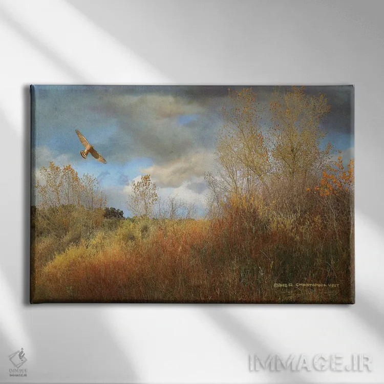 تابلو درهٔ بید و سپیدار اثر کریستوفر وست - نمای روبهرو روی دیوار