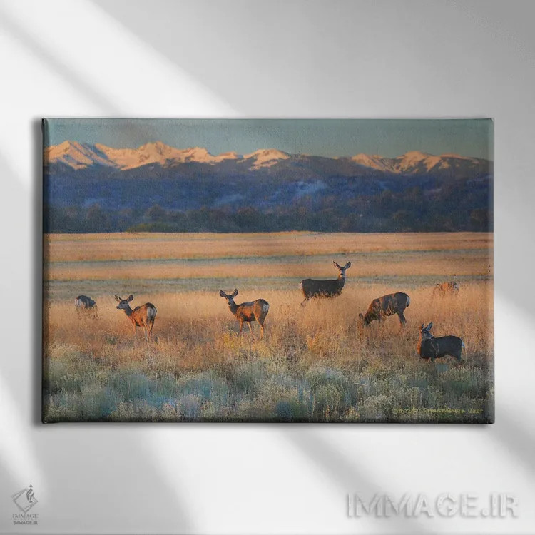 تابلو غزال در غروب اثر کریستوفر وست - نمای روبهرو روی دیوار