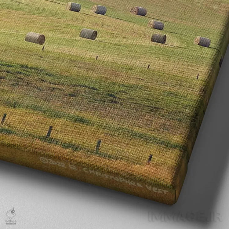 تابلو پشتههای علف خشک نهر گیلاس اثر کریستوفر وست - نمای نزدیک بافت بوم