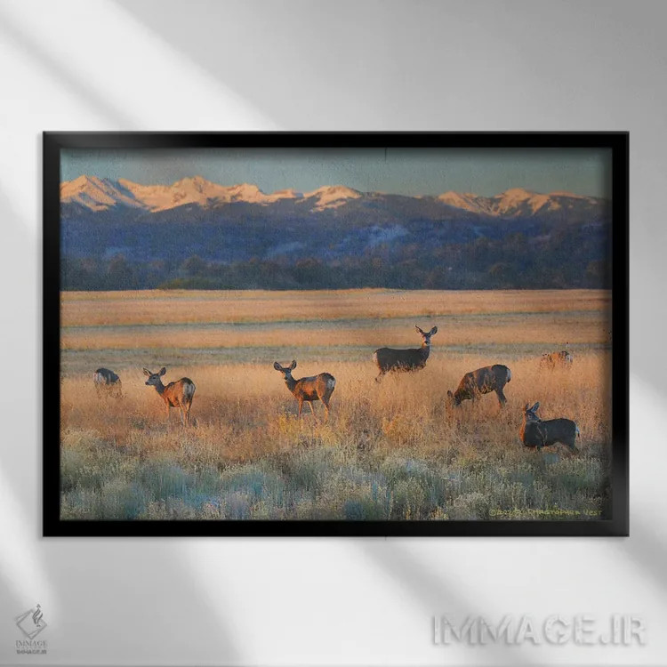 تابلو غزال در غروب اثر کریستوفر وست - نمای قابدار مشکی