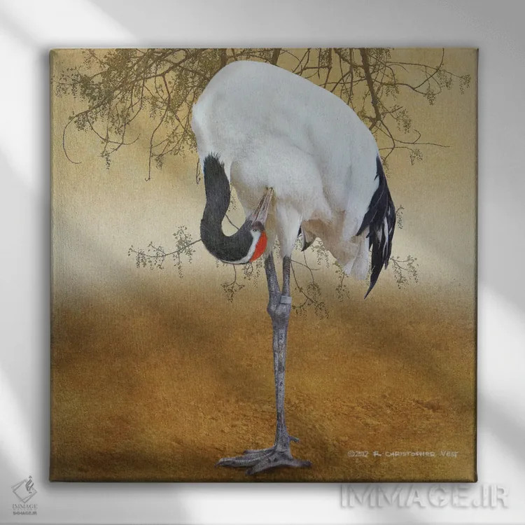 تابلو درنای تاجسرخ (پرنده) اثر کریستوفر وست - نمای روبهرو روی دیوار