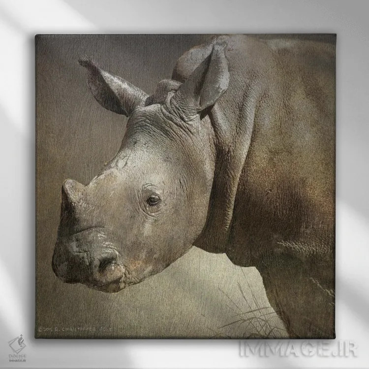 تابلو کرگدن سفید جوان اثر کریستوفر وست - نمای روبهرو روی دیوار