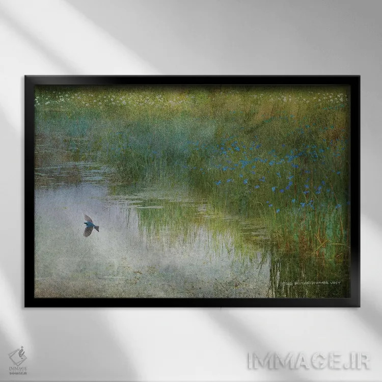 تابلو پرستو تالاب اثر کریستوفر وست - نمای قابدار مشکی