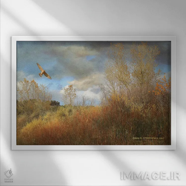 تابلو درهٔ بید و سپیدار اثر کریستوفر وست - نمای قابدار سفید