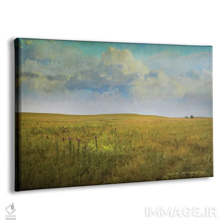 تابلو چمنزار بلند اثر کریستوفر وست - نمای پرسپکتیو محصول