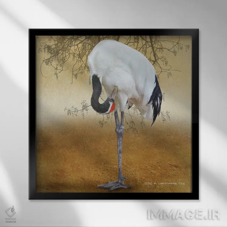 تابلو درنای تاجسرخ (پرنده) اثر کریستوفر وست - نمای قابدار مشکی