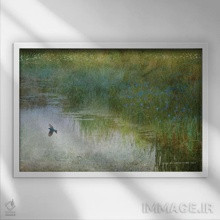 تابلو پرستو تالاب اثر کریستوفر وست - نمای قابدار سفید