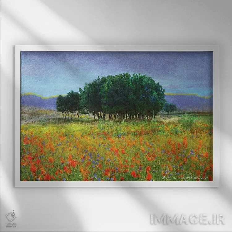 تابلو تودهای از بلوطها اثر کریستوفر وست - نمای قابدار سفید