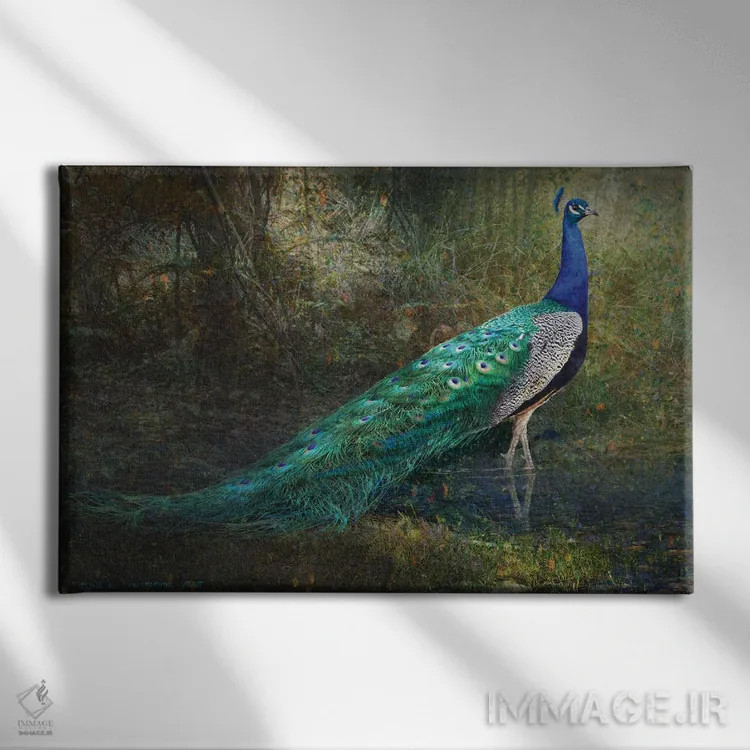 تابلو طاووس کنار جوی جنگلی اثر کریستوفر وست - نمای روبهرو روی دیوار
