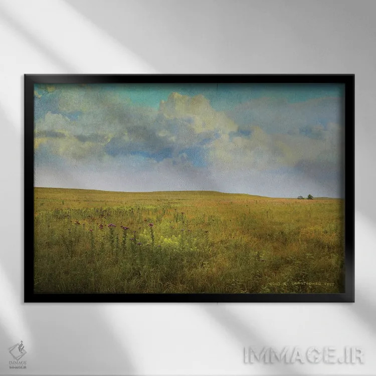 تابلو چمنزار بلند اثر کریستوفر وست - نمای قابدار مشکی