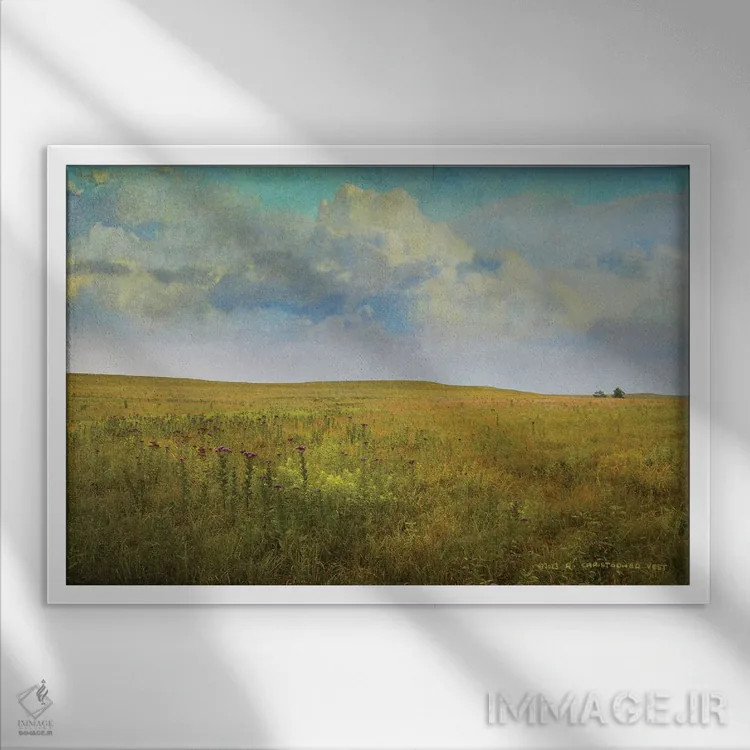 تابلو چمنزار بلند اثر کریستوفر وست - نمای قابدار سفید