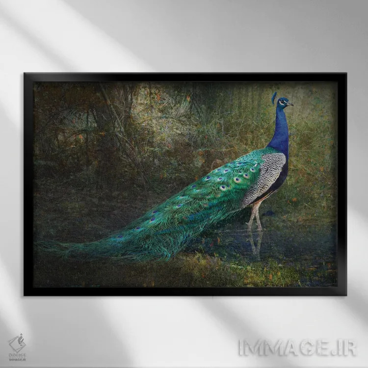 تابلو طاووس کنار جوی جنگلی اثر کریستوفر وست - نمای قابدار مشکی