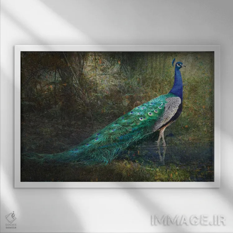 تابلو طاووس کنار جوی جنگلی اثر کریستوفر وست - نمای قابدار سفید