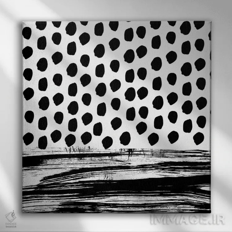تابلو زویی سیاه و سفید اثر شارلوت وینتر - نمای روبهرو روی دیوار