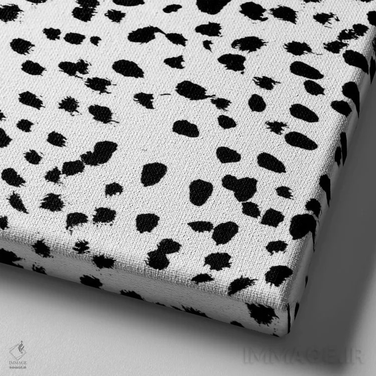 تابلو "نادیا (سیاه و سفید)" اثر شارلوت وینتر - نمای نزدیک بافت بوم