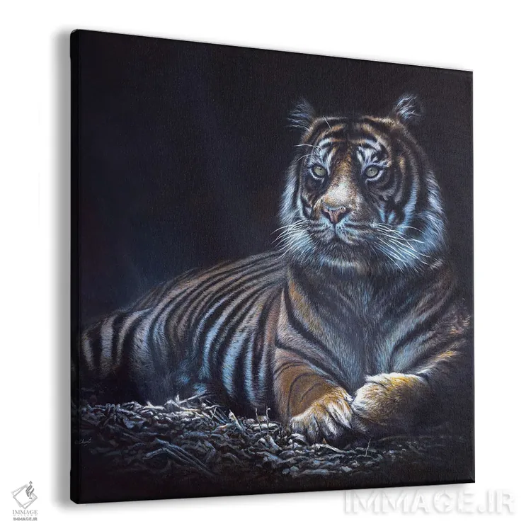 تابلو "درون سایهها" اثر هنر چامی - نمای پرسپکتیو محصول