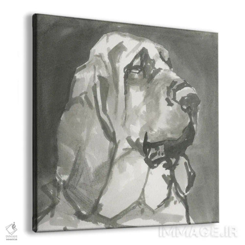 تابلو سگ مدرن بسیار خنثی VII اثر کارتیسی - نمای پرسپکتیو محصول