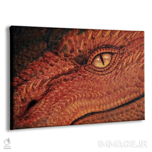 تابلو چشم اژدها اثر سیروئلو - نمای پرسپکتیو محصول