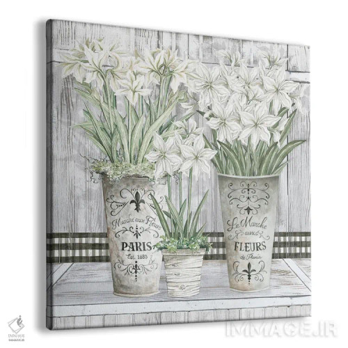 تابلو گلدانهای متعدد آمارلیس اثر سیندی جیکوبز - نمای پرسپکتیو محصول