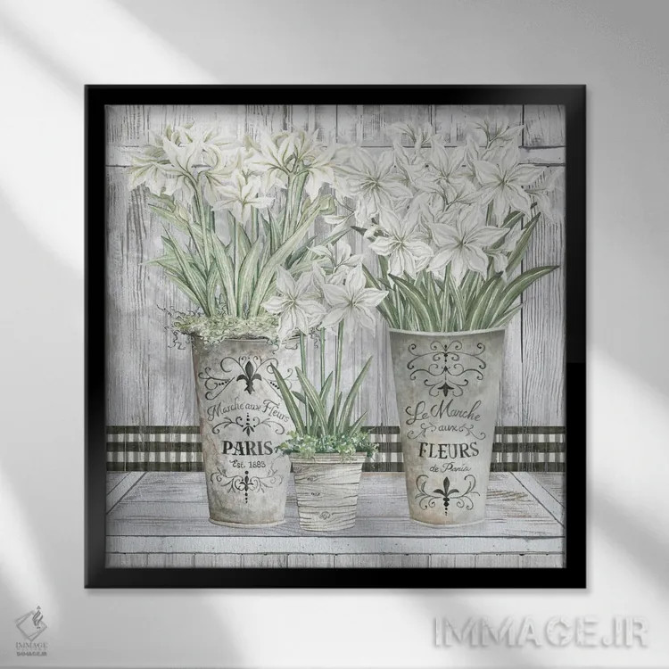 تابلو گلدانهای متعدد آمارلیس اثر سیندی جیکوبز - نمای قابدار مشکی