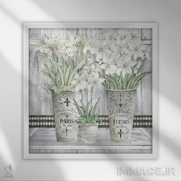 تابلو گلدانهای متعدد آمارلیس اثر سیندی جیکوبز - نمای قابدار سفید