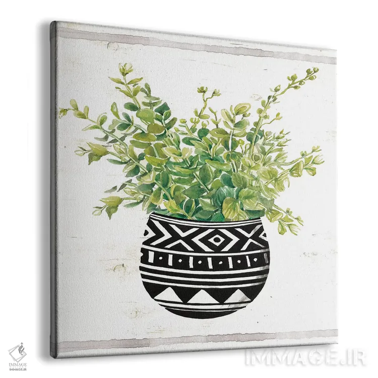 تابلو گلدان ساکولنت پارچه گلی سیاه و سفید II اثر سیندی جیکوبز - نمای پرسپکتیو محصول