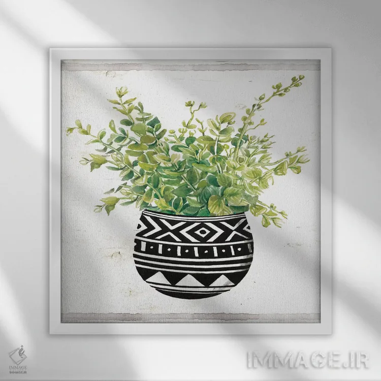 تابلو گلدان ساکولنت پارچه گلی سیاه و سفید II اثر سیندی جیکوبز - نمای قابدار سفید